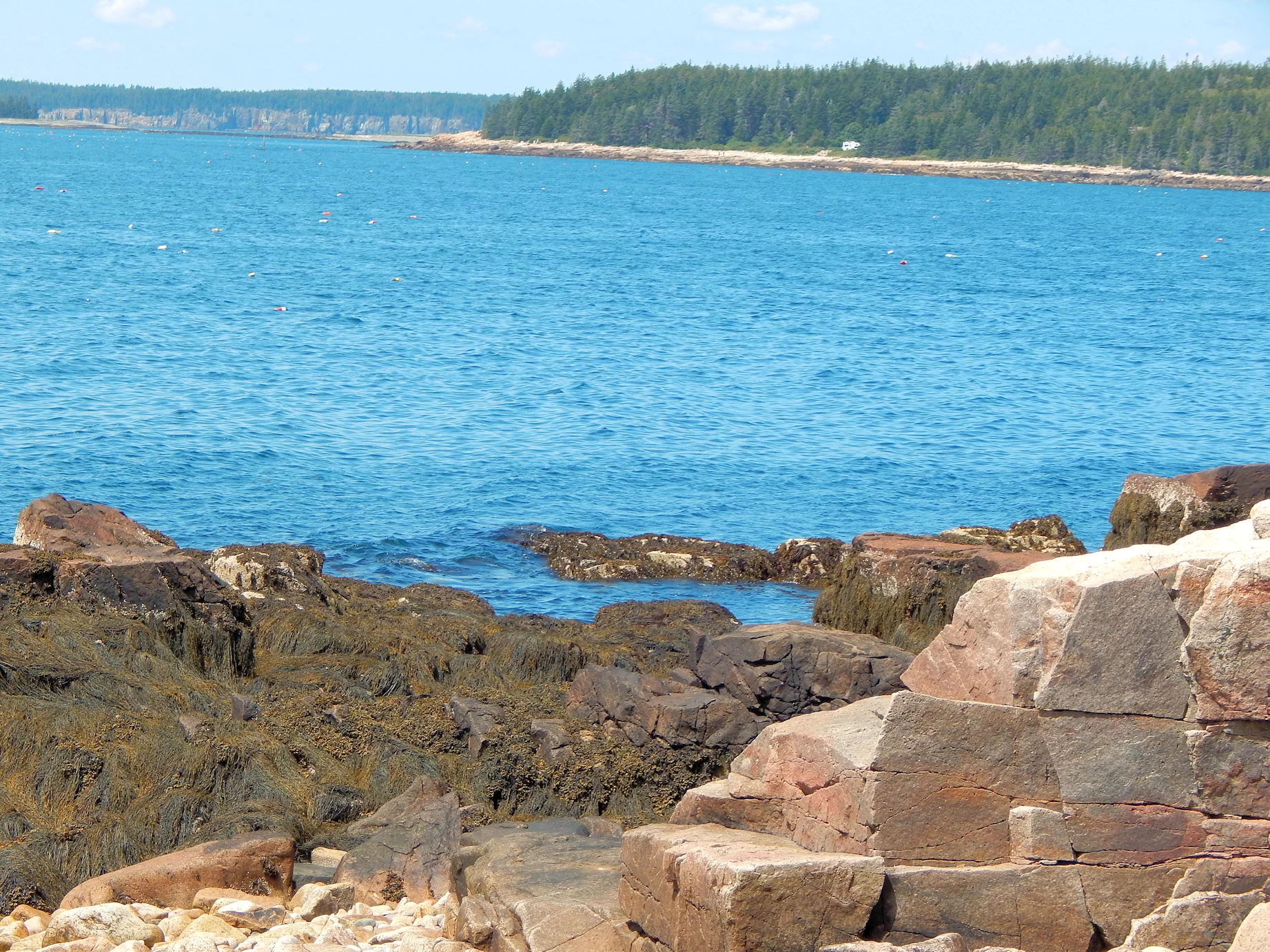 Schoodic Peninsula Coastline