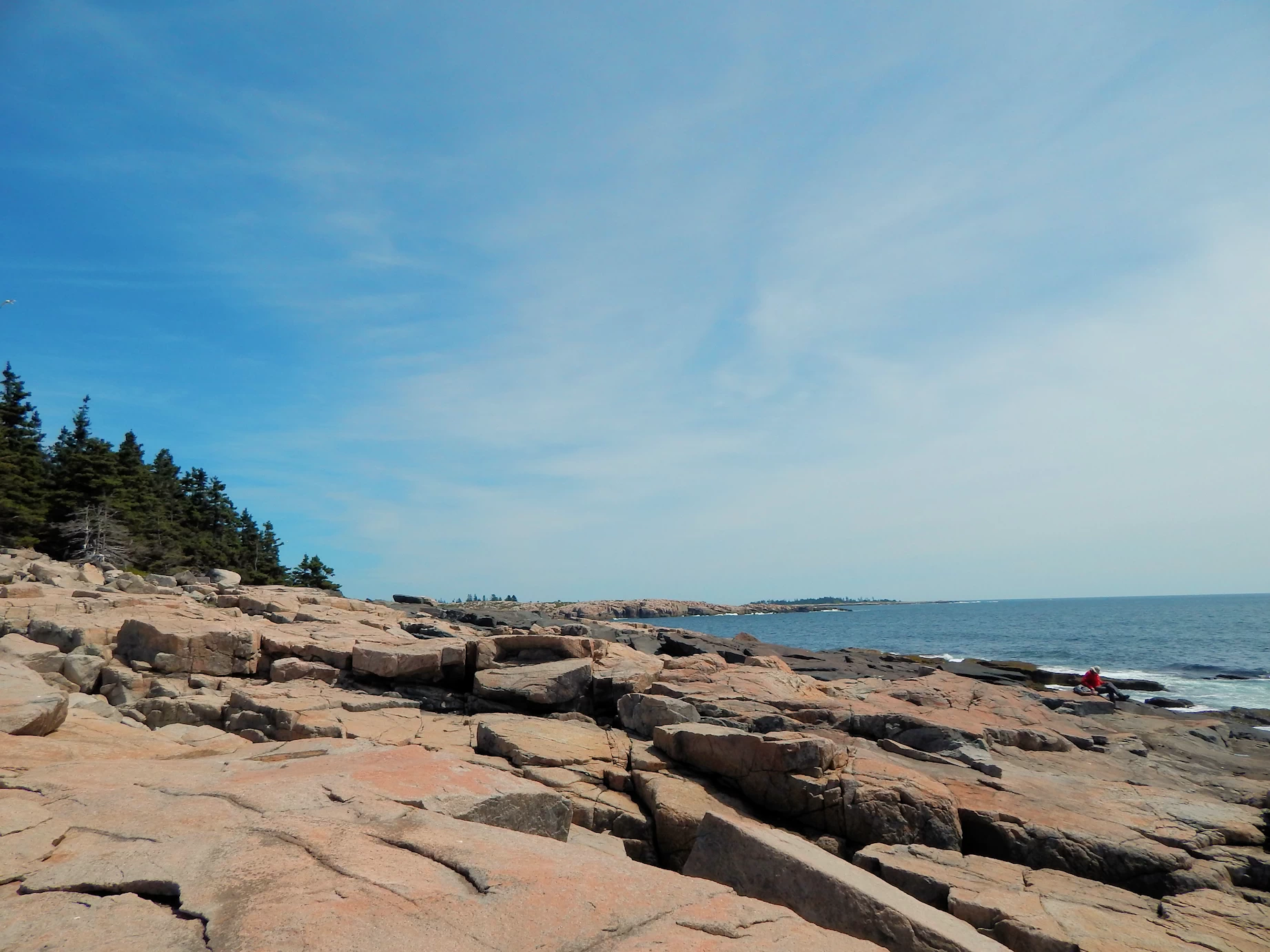 Must-See Carriage Roads, Bar Harbor & Wildlife