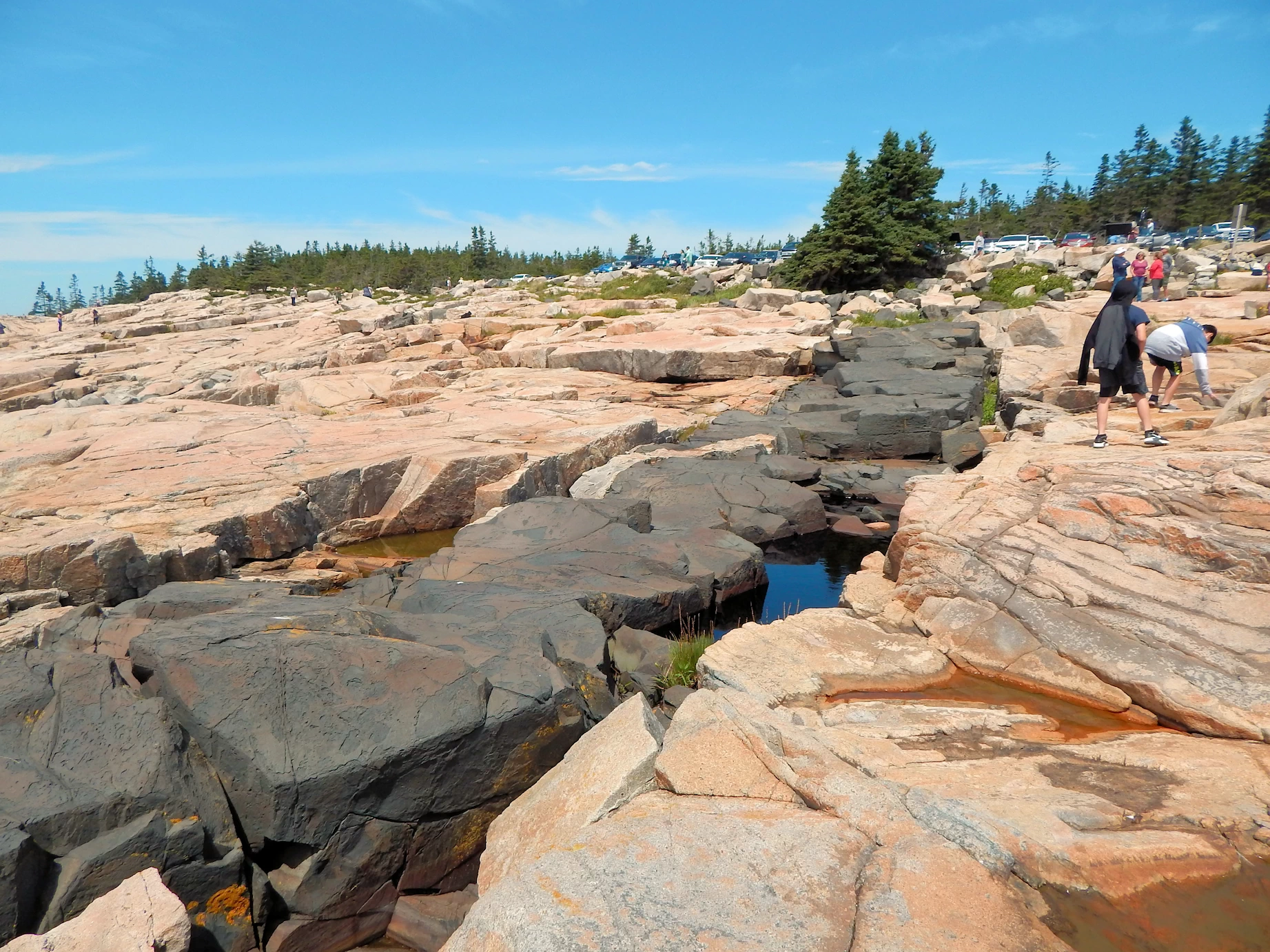 Schoodic Peninsula Coastline