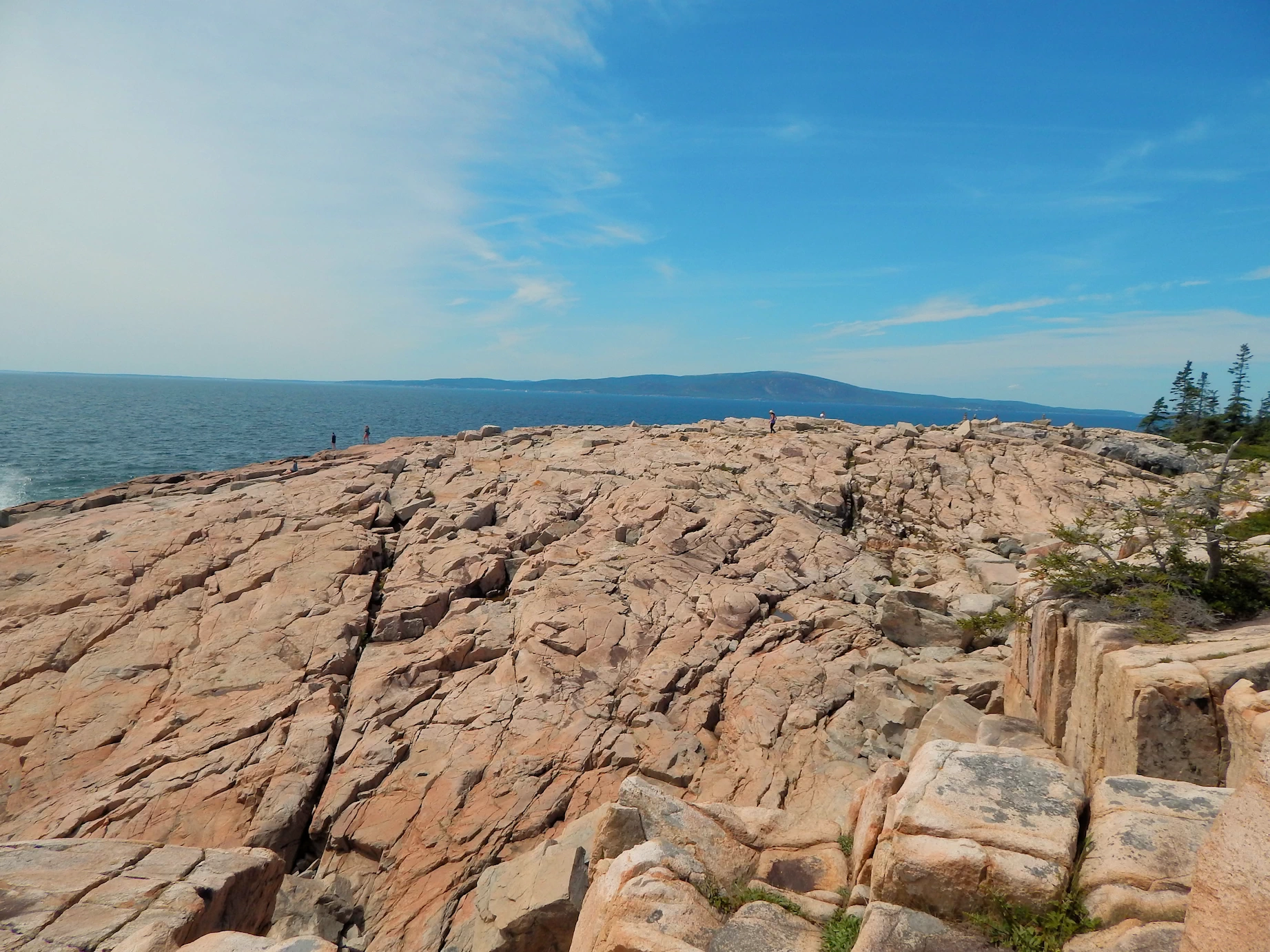 Schoodic Peninsula Coastline
