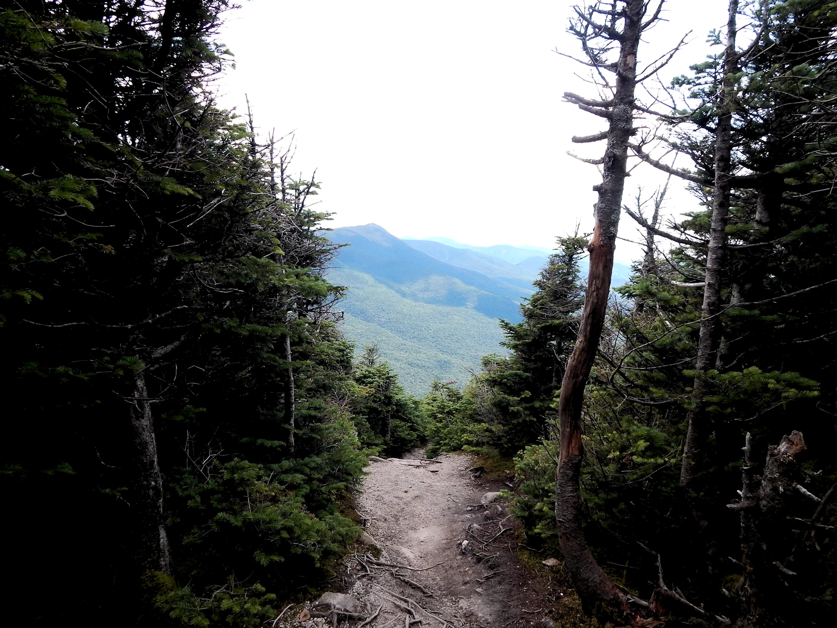 Our 2021 New England Road Trip Image Gallery