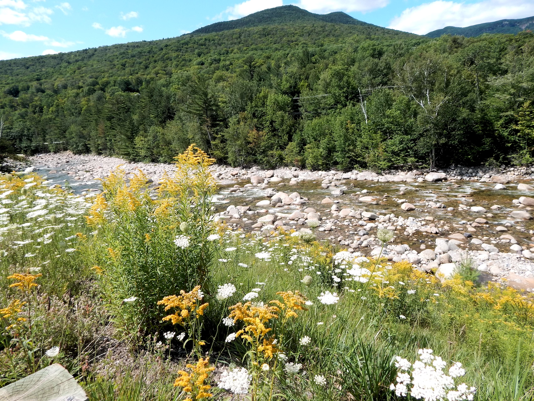 Our 2021 New England Road Trip Image Gallery