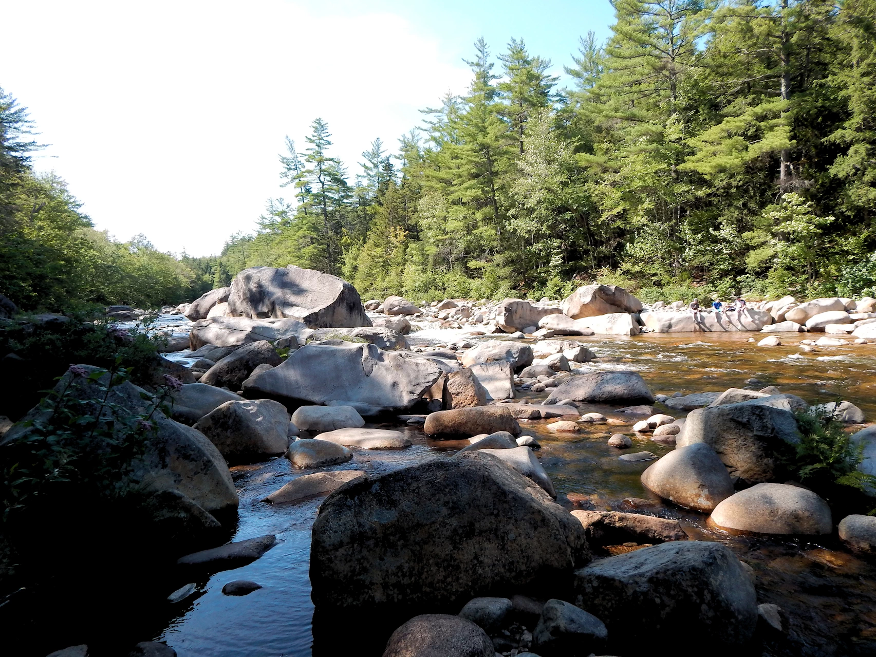 Our 2021 New England Road Trip Image Gallery
