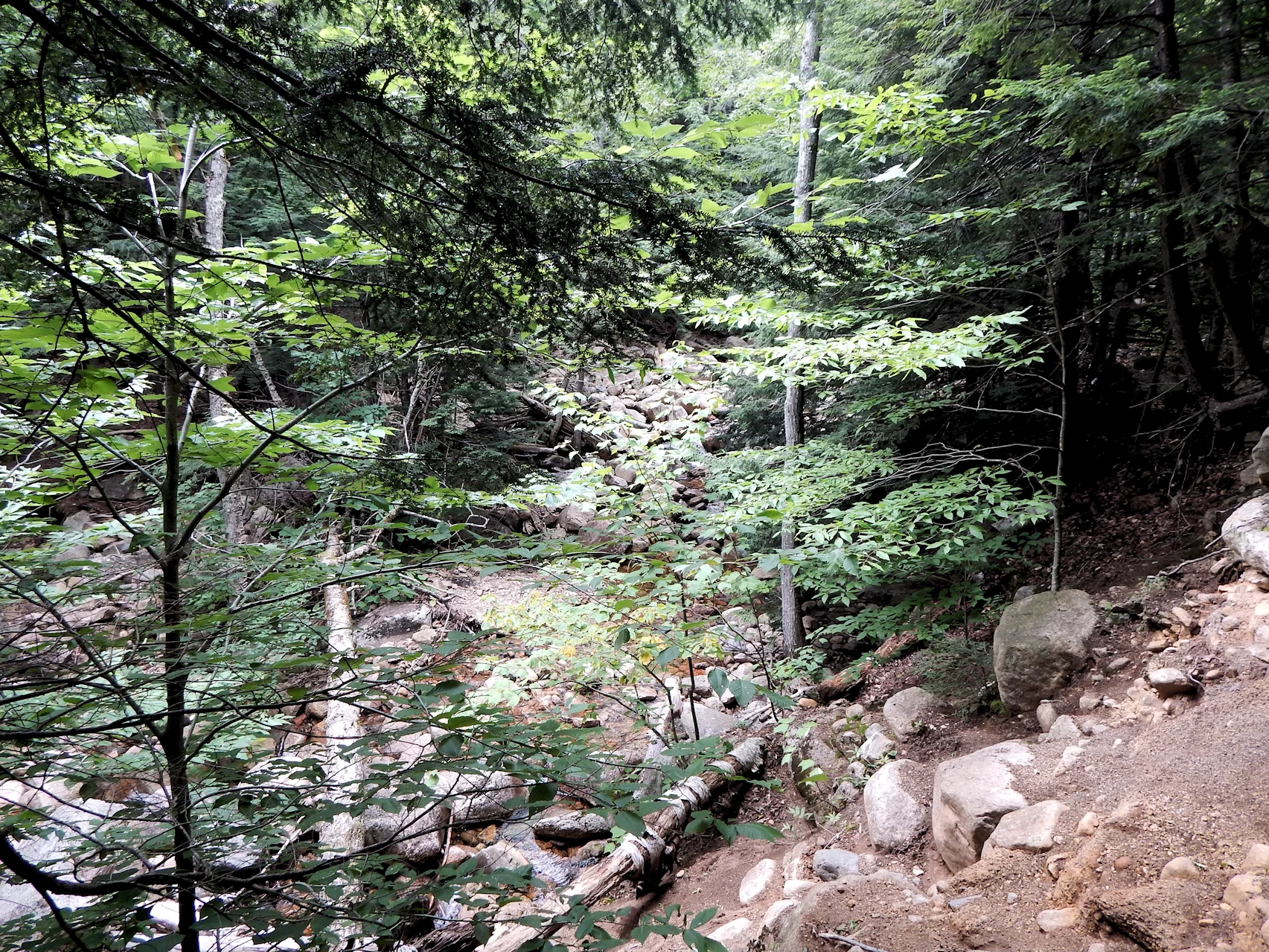 Our 2021 New England Road Trip Image Gallery