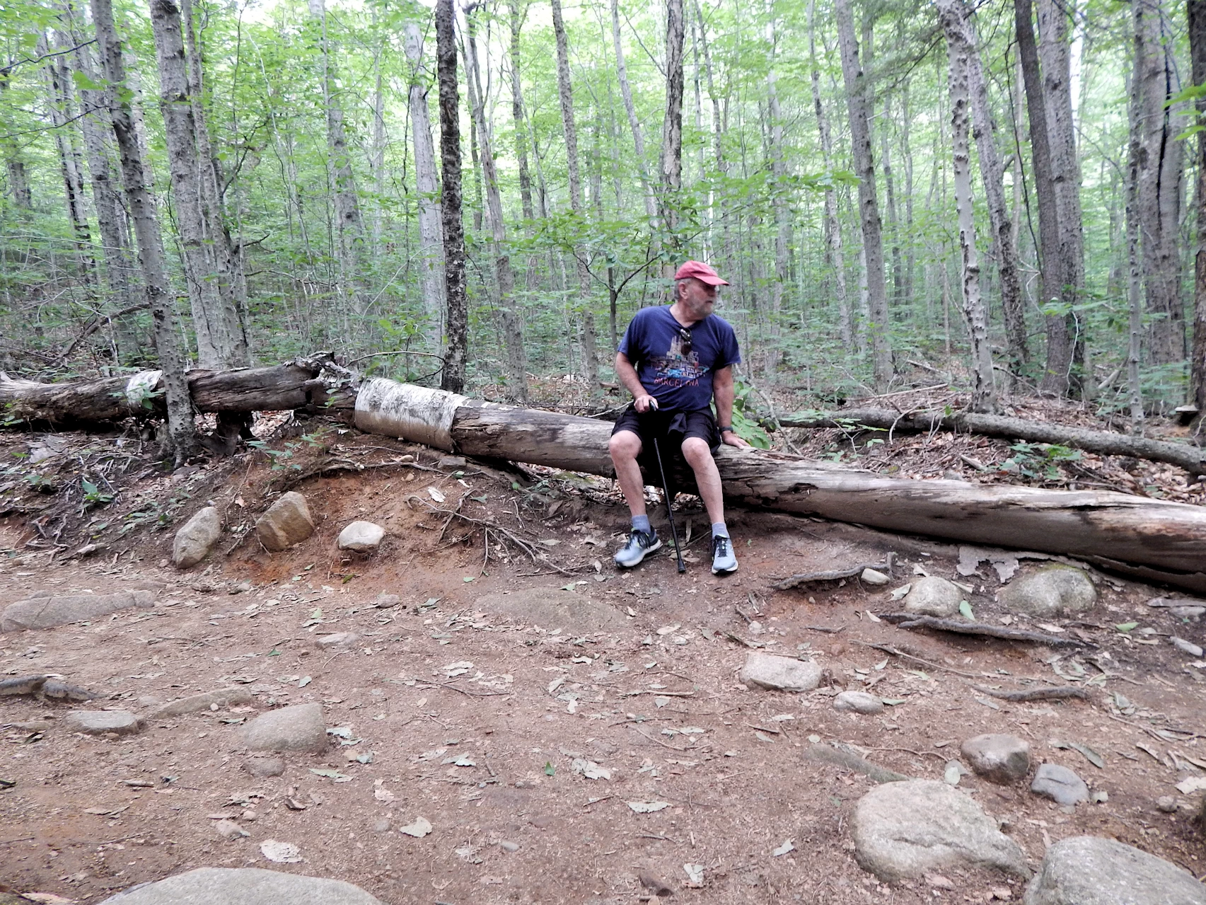 Our 2021 New England Road Trip Image Gallery