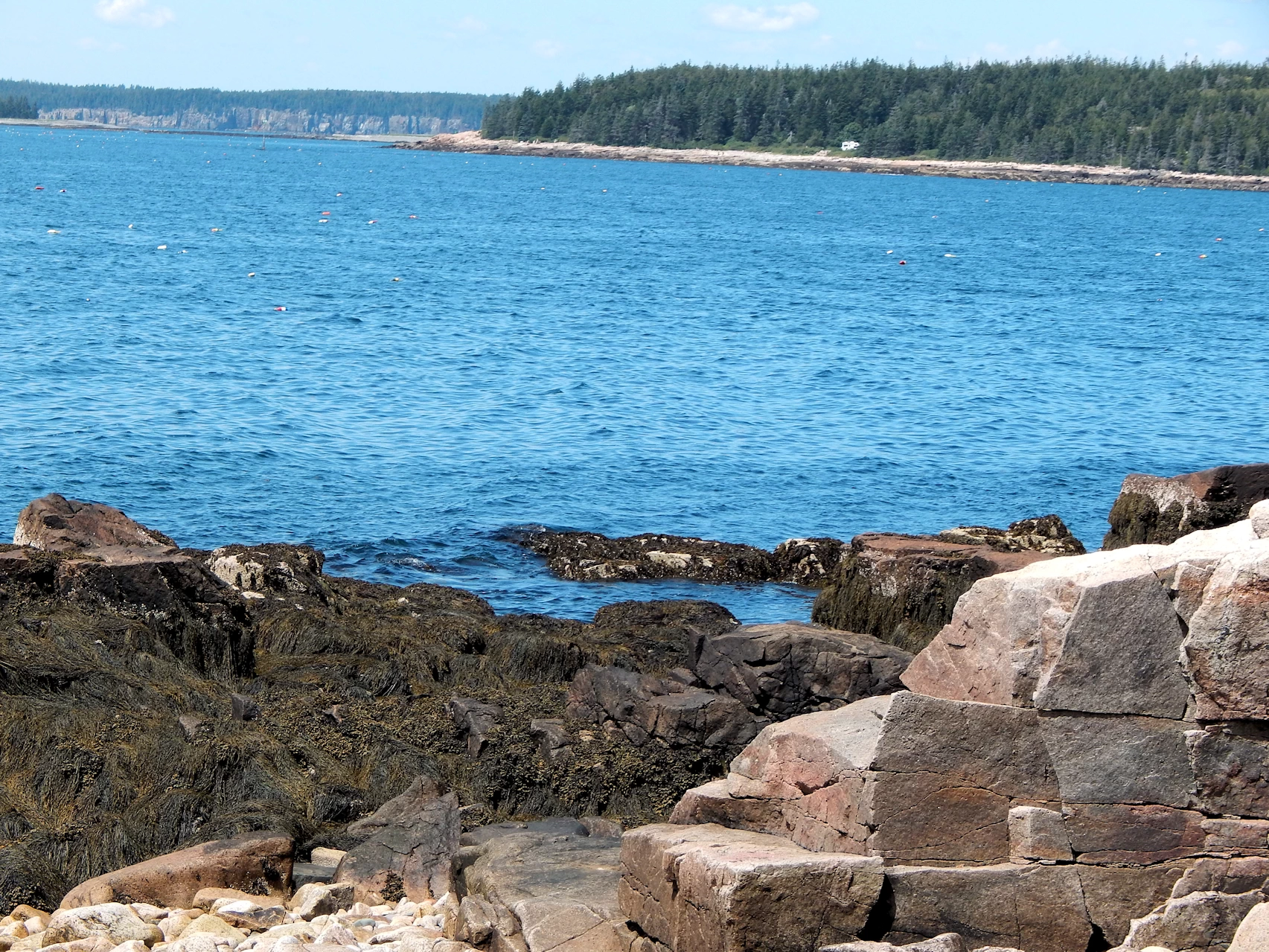 Our 2021 New England Road Trip Image Gallery