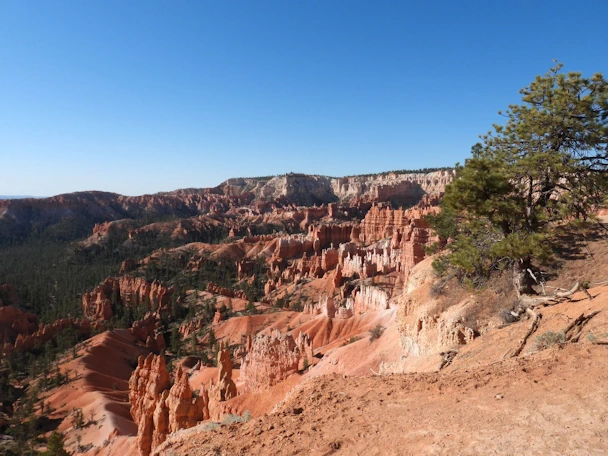 Bryce Canyon National Park: Rock Formations along the Queen's Trail