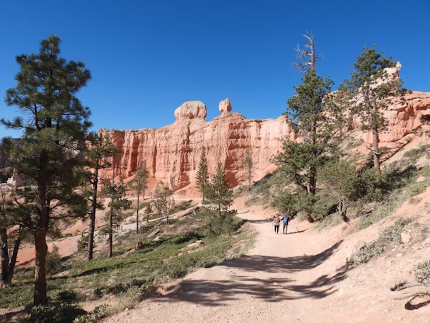 Bryce Canyon National Park: Queen's Garden Trail Ascent