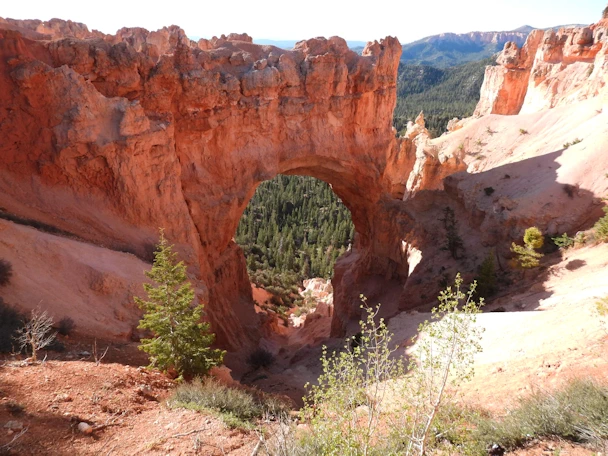 Bryce Canyon National Park: Bryce Arch