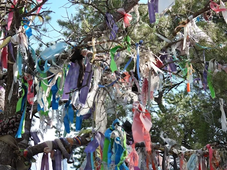Glenwood Springs: Annie’s Wishing Tree