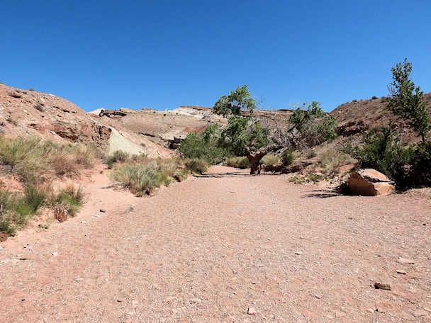 Little Wild Horse Canyon: Dry Wash Trail to the Canyon