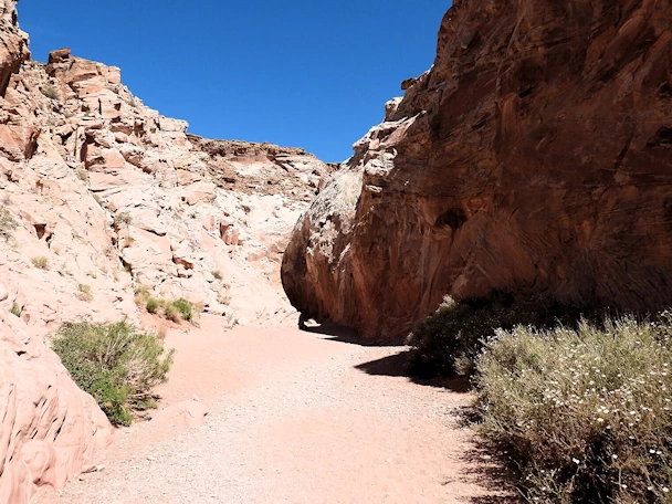 Little Wild Horse Canyon: Entering the Slot Canyon Area