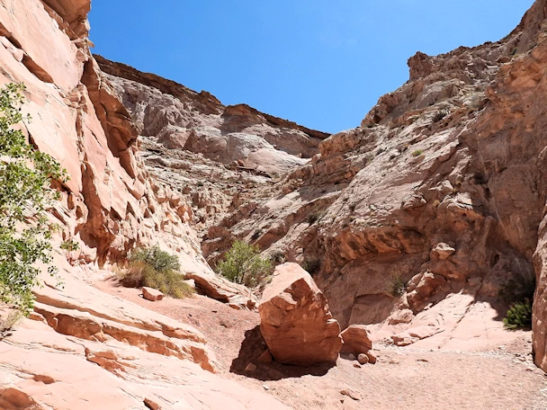 Little Wild Horse Canyon: Trail Continues to Ascend