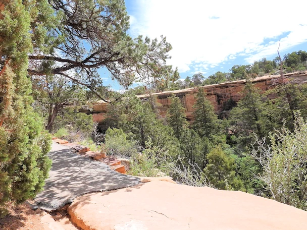 Mesa Verde National Park: Spruce Tree Trail Ascent