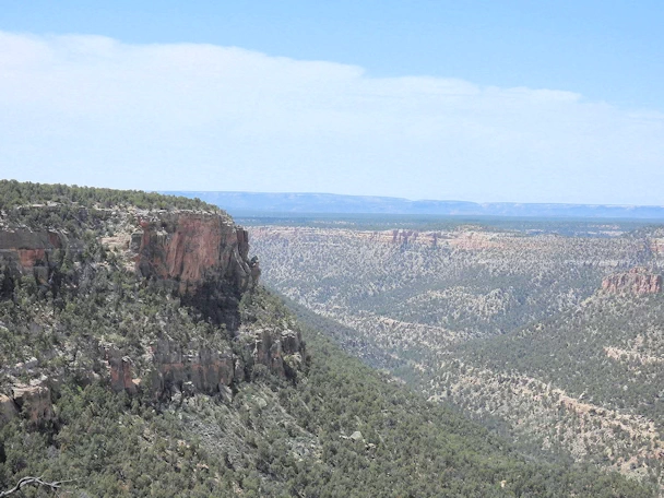 Mesa Verde National Park: Looking West up the Valley
