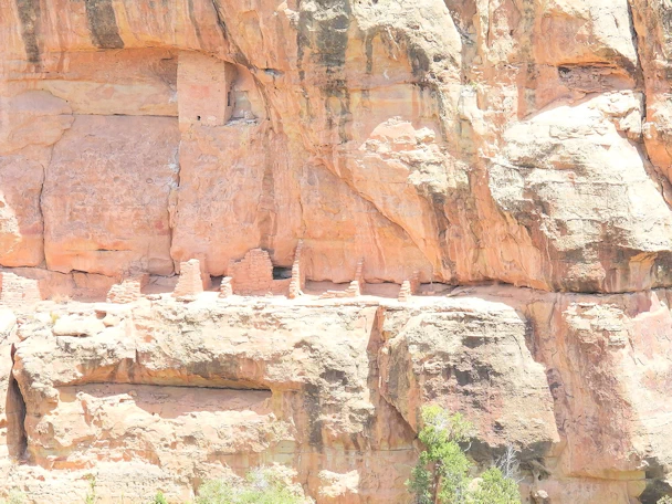 Mesa Verde National Park: Cliff Palace Dwellings