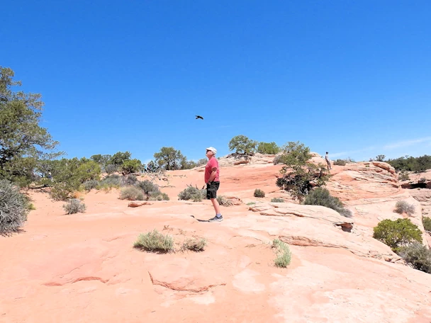 Shafer Trail (Canyonlands National Park) Image Gallery
