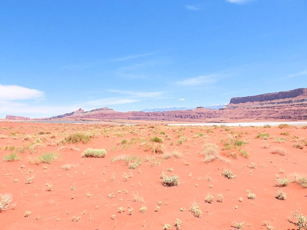 Shafer Trail (Canyonlands National Park) Image Gallery