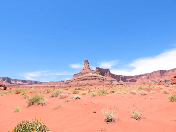Shafer Trail (Canyonlands National Park) Image Gallery