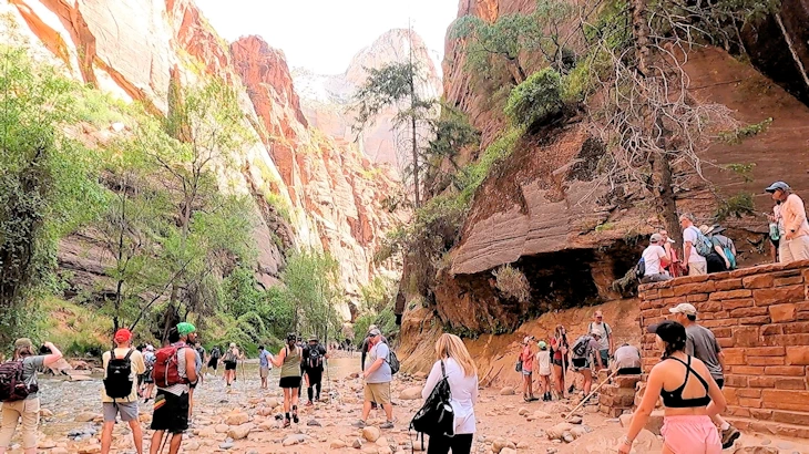 Zion National Park: Just Below the Riverside Walk Trail