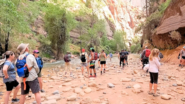 Zion National Park: Admiring the View at the Narrows