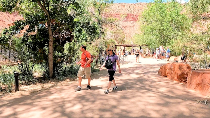 Zion National Park: Exploring the Visitor Center
