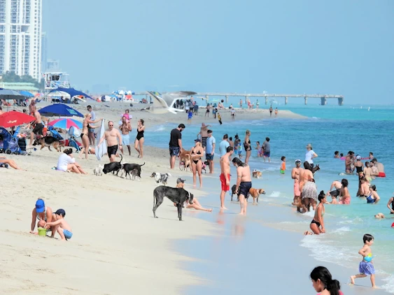 Haulover Inlet Beach
