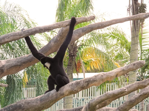 Exploring Miami Zoo