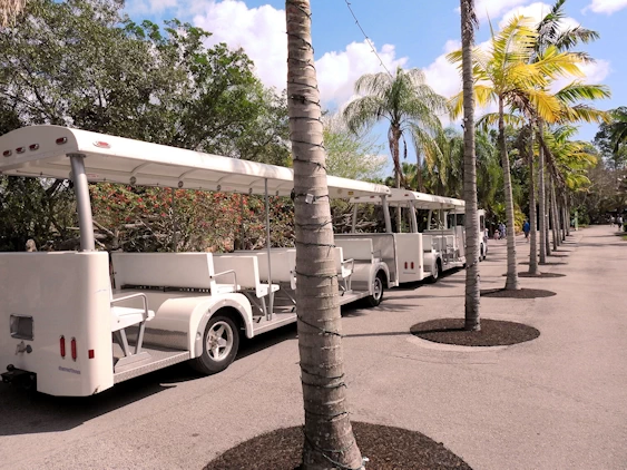Exploring Miami Zoo