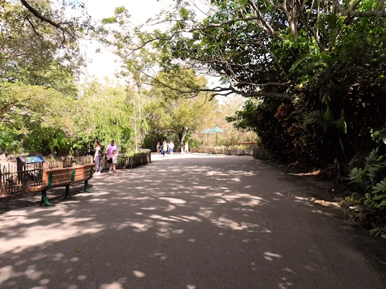 Exploring Miami Zoo