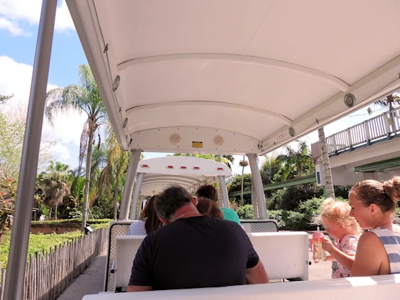 Exploring Miami Zoo