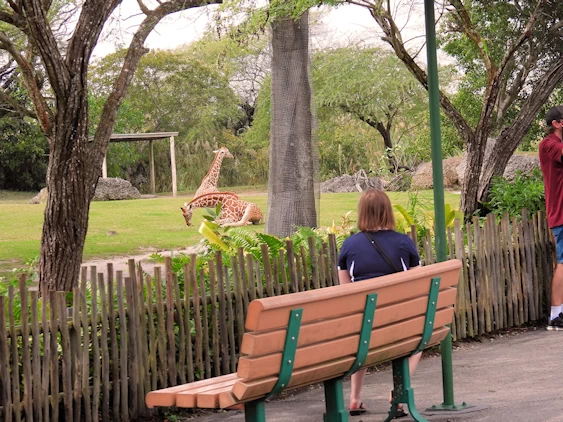 Exploring Miami Zoo