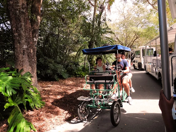 Exploring Miami Zoo