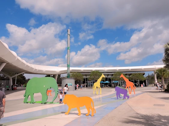 Exploring Miami Zoo