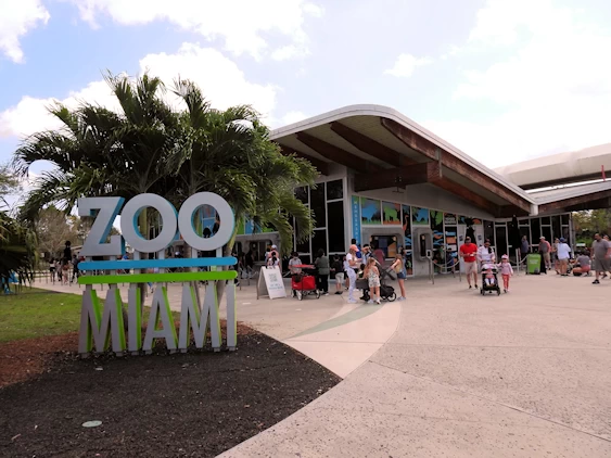 Exploring Miami Zoo