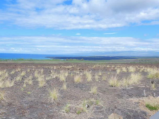 A description and images from a Trip to Maui.