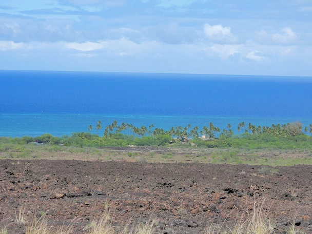 A description and images from a Trip to Maui.