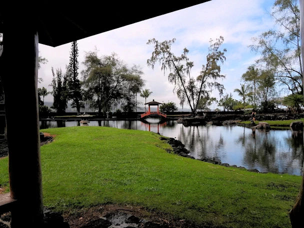 Liliʻuokalani Park Koi Pond