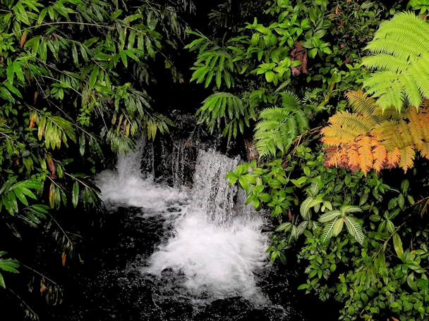 Kahuna Falls