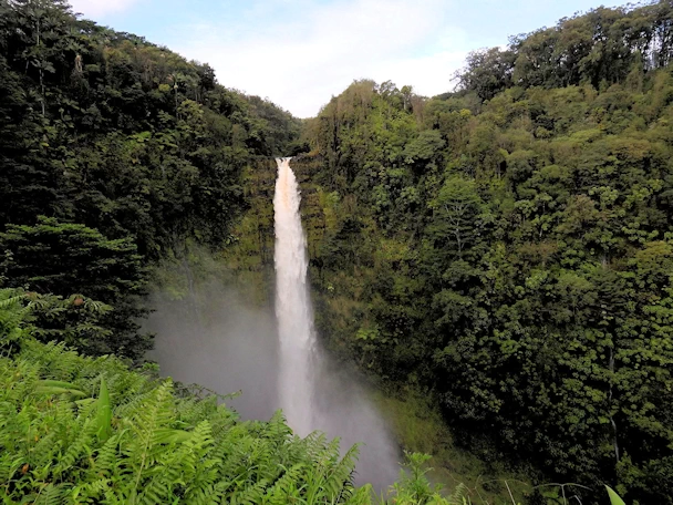 A description and images from a Trip to Maui.