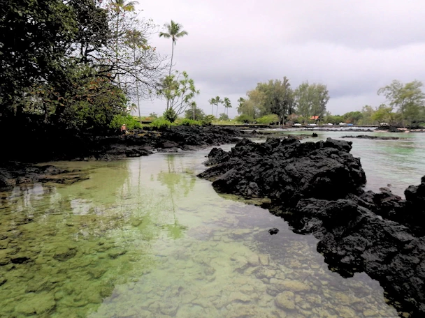 A description and images from a Trip to Maui.