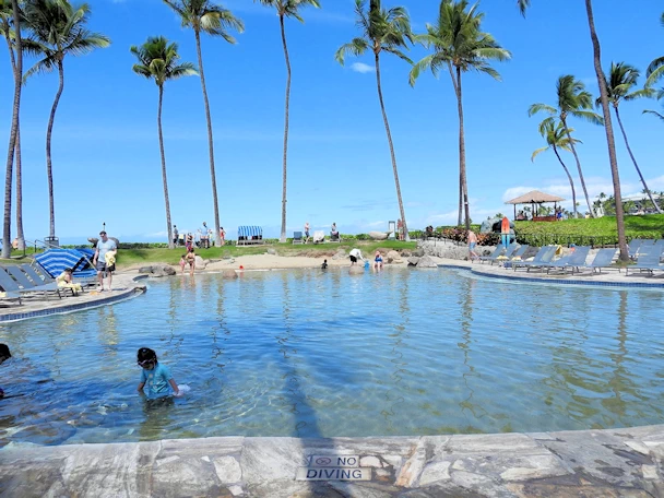 Lagoon Area