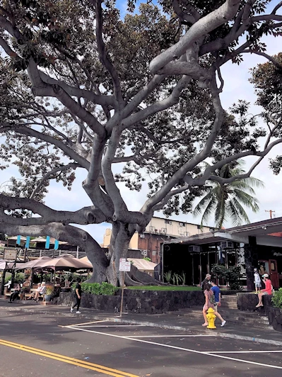 Kailua-Kona Area Image Gallery