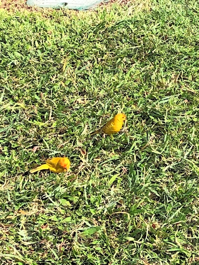 Kailua-Kona Area Image Gallery