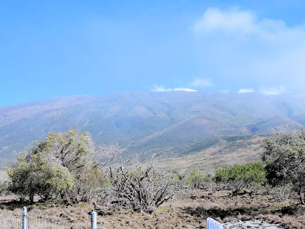 Snowcapped Mauna Kea