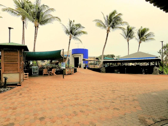 Maui Ocean Center Exhibits Area