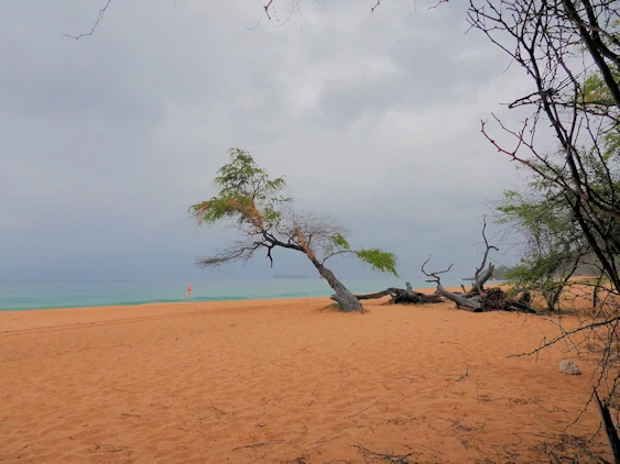 Makena Beach Shore