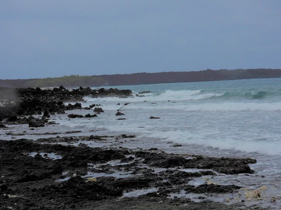 Makena Beach Surf