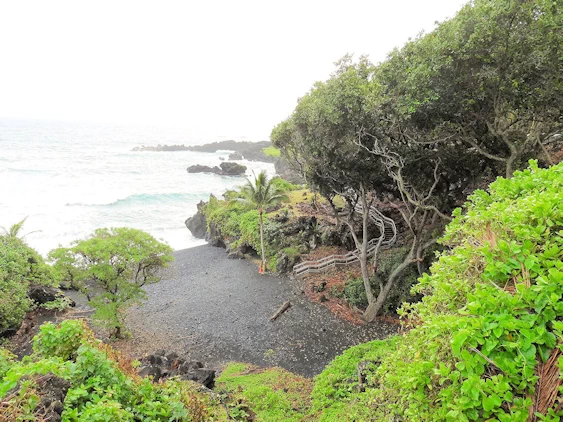 The Road to Hana Image Gallery