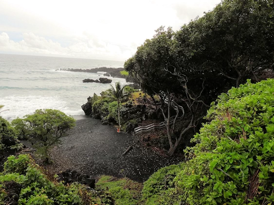 The Road to Hana Image Gallery